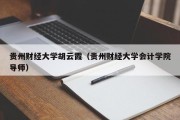 贵州财经大学胡云霞（贵州财经大学会计学院导师）