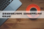 宜保金融有限公司好吗（宜保金融有限公司好吗安全吗）