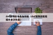 dnf宠物给角色加技能（dnf宠物技能能提升多少伤害）